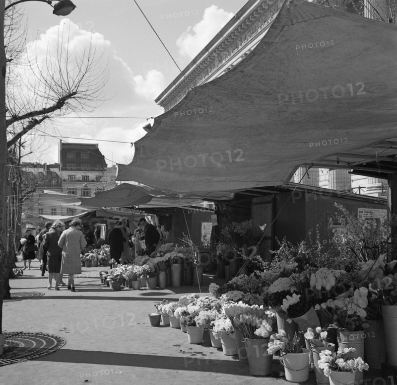 Pariser Bilder [The street life of Paris] Description: Flower stalls at the foot of the Madeleine Date: 1965 Location: France, Paris Keywords: flowers, markets, street sculptures, street vendors