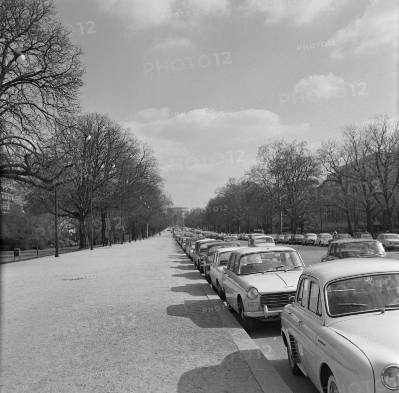 Pariser Bilder [Paris Street Life]  Parked cars along Avenue Foch Date: 1965 Location: France, Paris Keywords: cars, parking spaces, street images