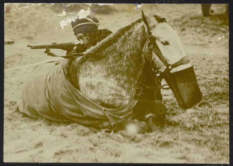 Description: [Algerian or Moroccan] cavalryman with rifle refuge behind a horse lying Annotation: The horse has a feed bag around his muzzle. Photo seems staged. Date: {1914-1918} Keywords: WWI, rifles, soldiers, horses