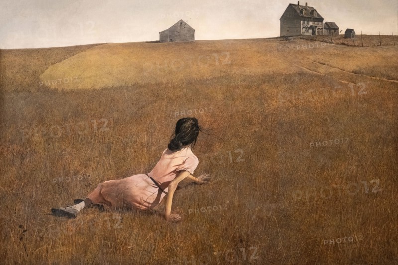 painting called Christina's World  by Andrew Wyeth at the MOMA art museum in New York