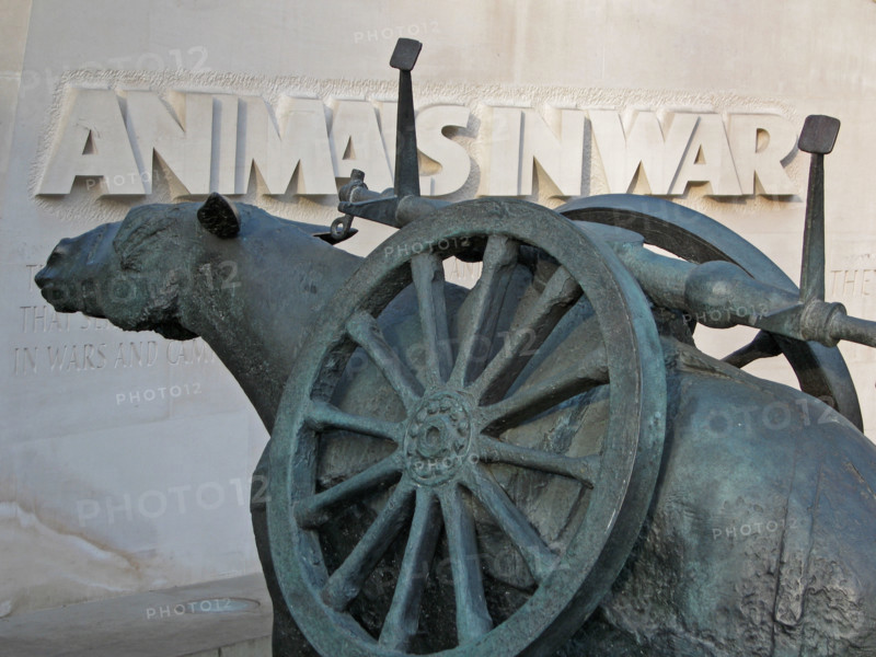 Memorial for Animals in war, Park Lane, London