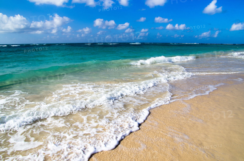 tropical sea under the blue sky