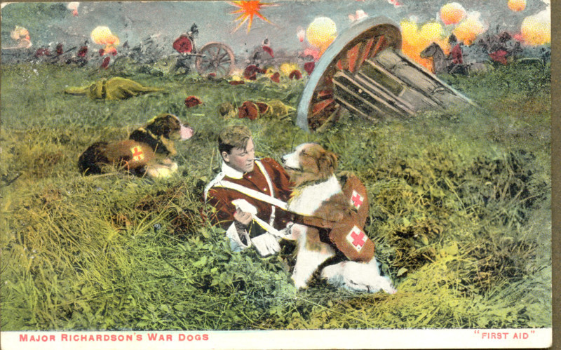 World War One postcard of Major Richardson's War Dogs offering First Aid