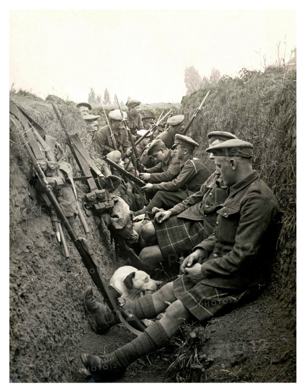 Historic image of WW1 Highland territorials and their mascot dog wait to 'go over the top' in a trench in Northern France