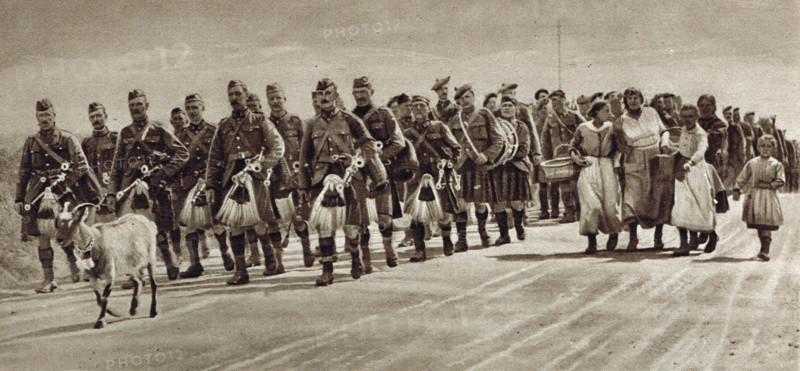 Canadian Highlanders, pipers & regimental goat mascot, WW1