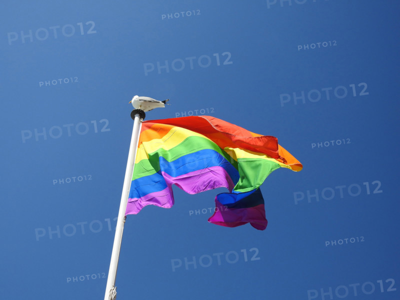 Rainbow Flag Flying in Nice, France on on Sunny Day and Blue Sky with bird
