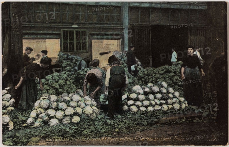 PARIS, THE HALLS OF 6 HOURS 8 HOURS OF THE MORNING - THE TILE, SPROUTS -Flowers (RUE BALTARD) L.V & Compagnie. Les Halles de 6 heures à 8 heures du matin - Le Carreau. Les choux -fleurs (rue Baltard), Paris (Ier arr.). Phototypie, Aqua photo. Paris, musée Carnavalet.