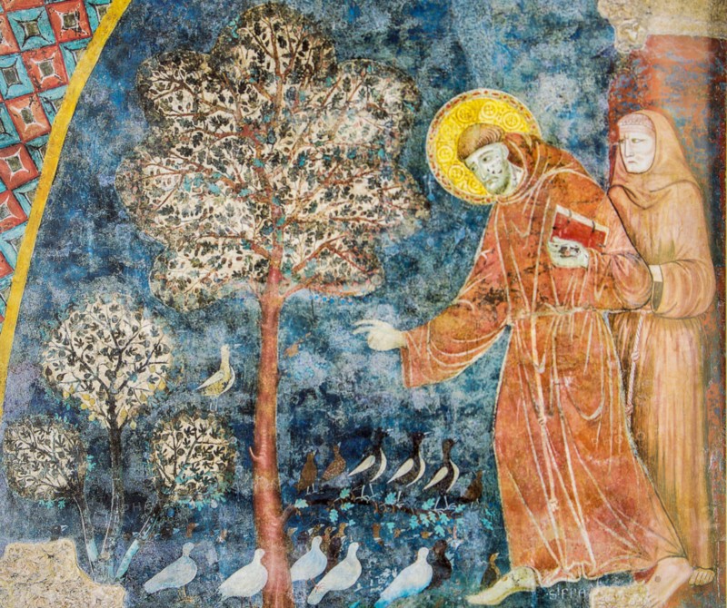 Assisi, Umbria, Italy. Fresco of St. Francis of Assisi preaching to the birds outside of Bevagna, in the Basilica of Saint Francis of Assisi. (For Edi