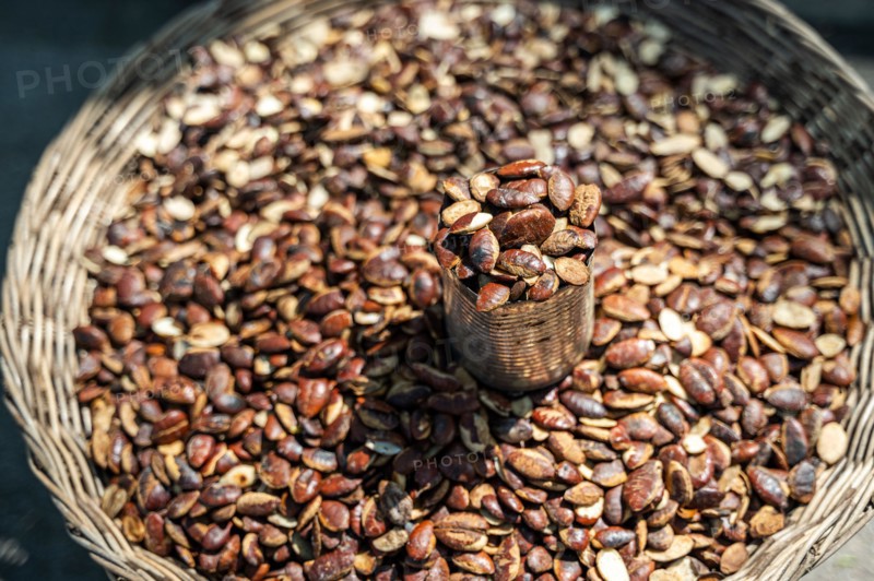 A close-up image captured in Vietnam displaying a variety of freshly harvested cocoa beans, heaped in a rustic woven basket, with a small container ov