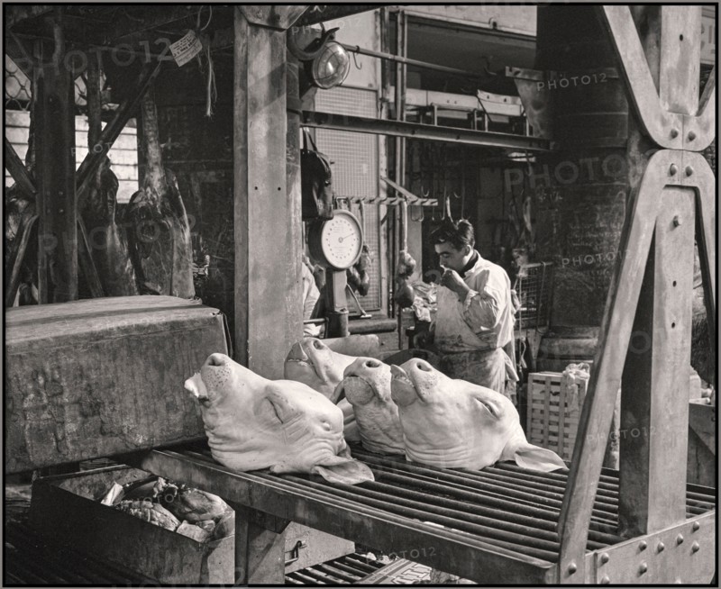 Vintage 1965 Paris Meat Market with pigs heads on display Van de Poll Street life in Paris Meat trade in Les Halles the central (partially covered) wholesale market of Paris was located on the market square Les Halles, where meat, fish, vegetables and fruit were supplied and traded.1965 Location : France, Paris