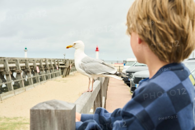 Boy watching bird at pier with lighthouse in the background