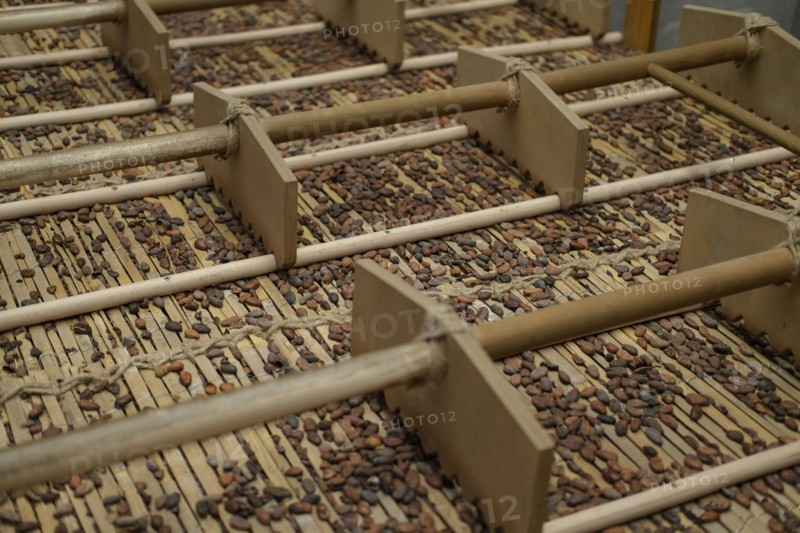 Close-up of cocoa beans and husk fragments on a wooden surface.