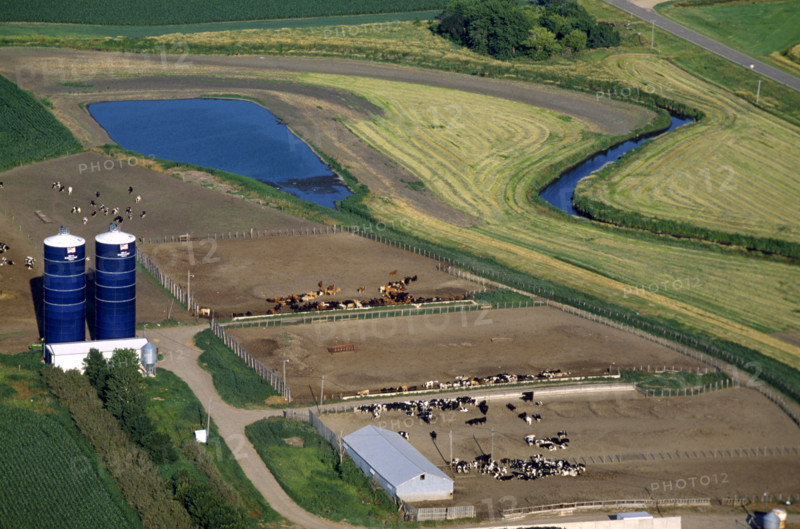 IOWA DAIRY FARM IOWA