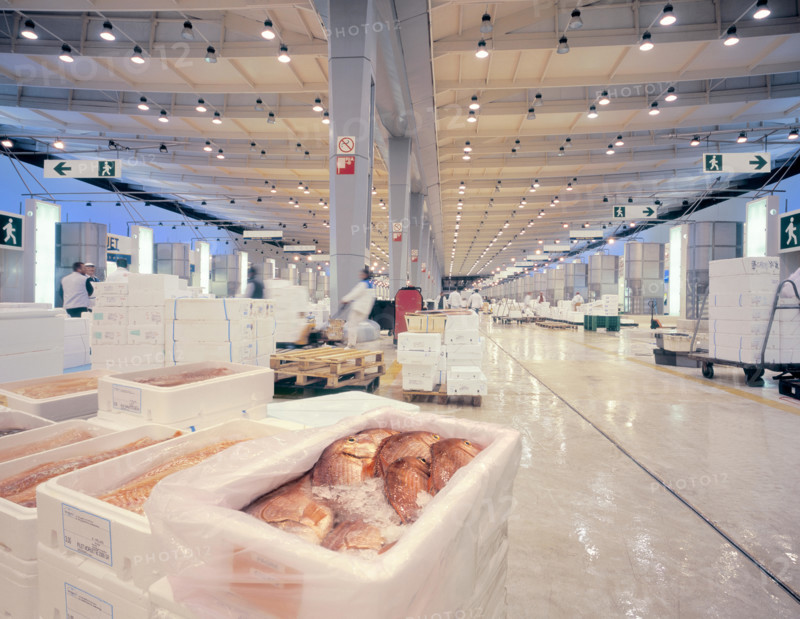 Trading fresh fish at Rungis wholesale market close to Paris, France.
