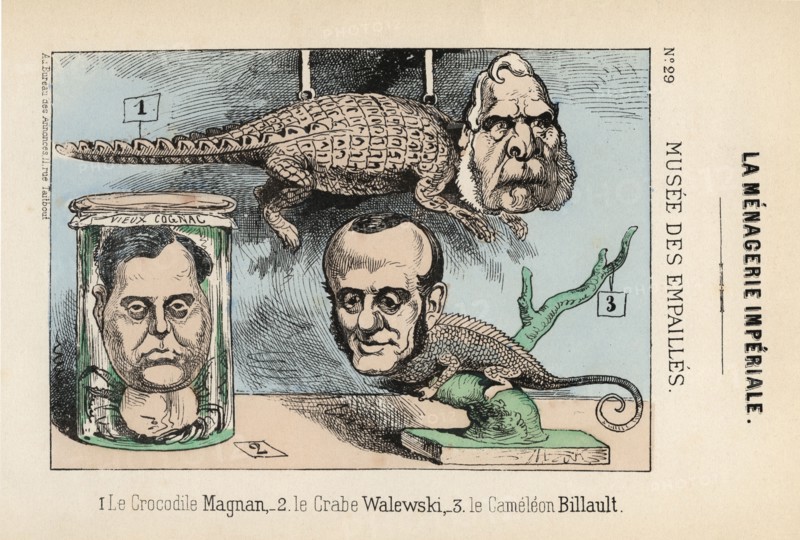 Museum of stuffed creatures. Caricature