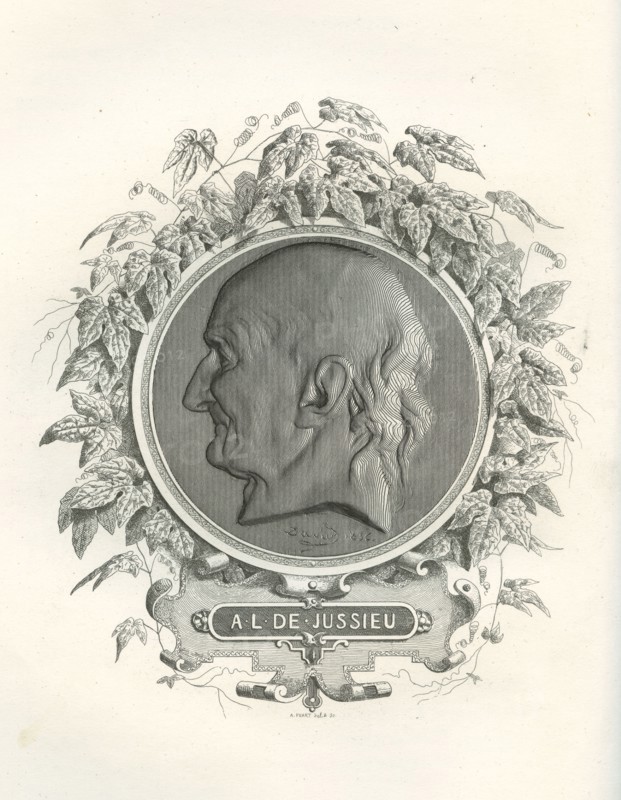 Antoine-Laurent de Jussieu
