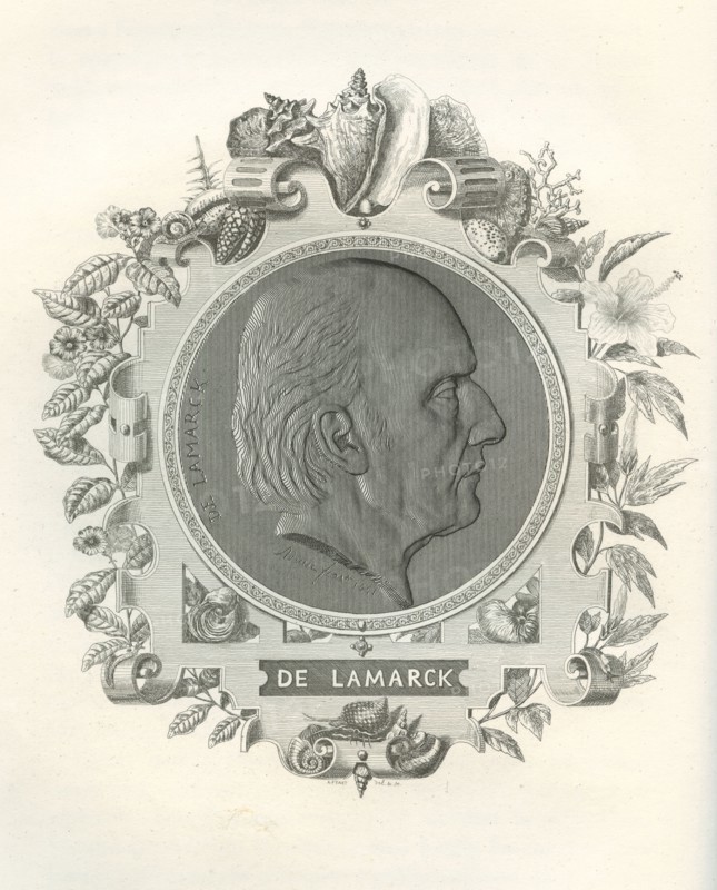 Jean-Baptiste de Lamarck