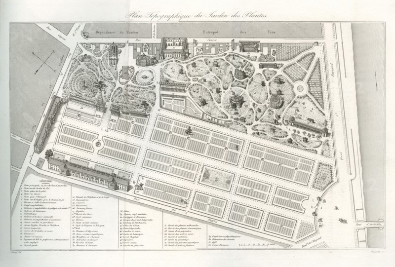 Plan topographique du Jardin des Plantes