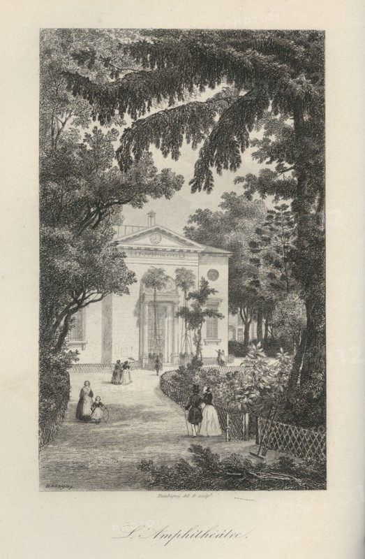 L'amphithéâtre (du Jardin des Plantes)