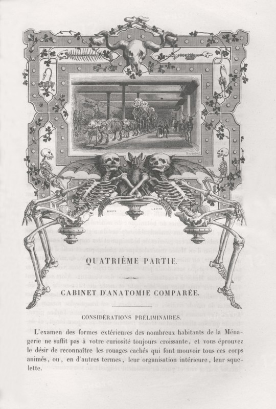 Museum d'Histoire Naturelle de Paris