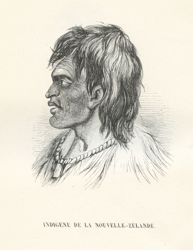 Indigène de la Nouvelle-Zélande