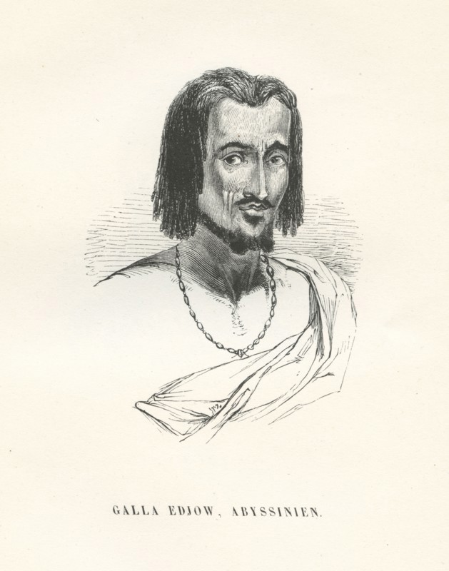 Homme de la tribu des Galla Edjow, Abyssinien