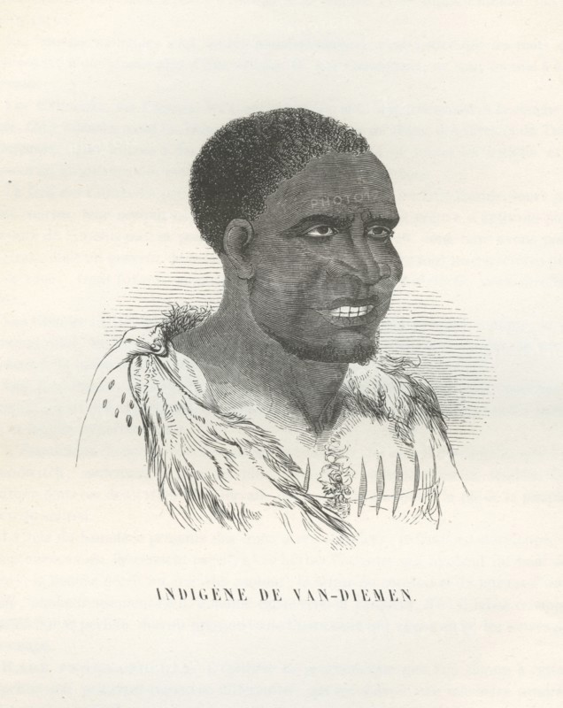 Indigène de Van-Diemen (Tasmanie)