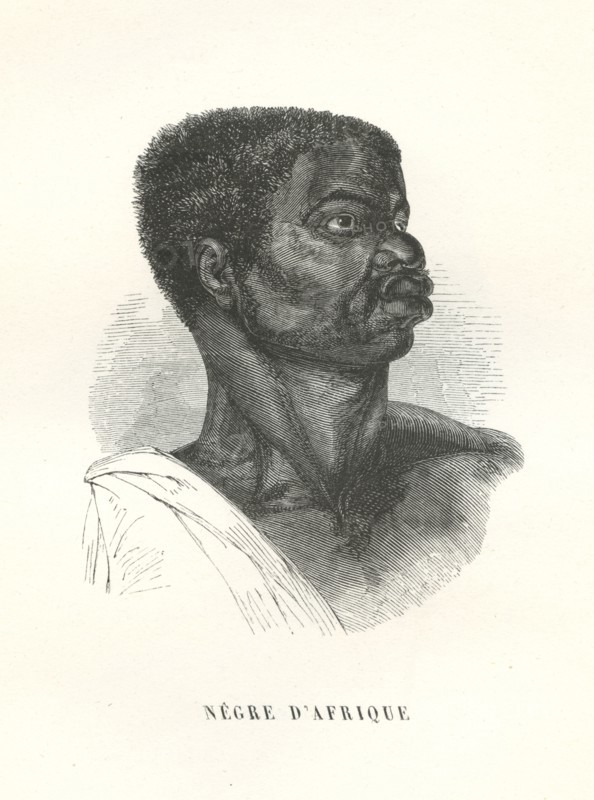 Nègre d'Afrique