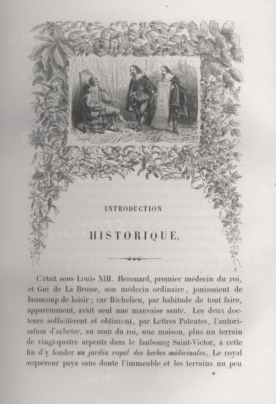 Le Cardinal Richelieu avec Jean Héroard et Guy de La Brosse