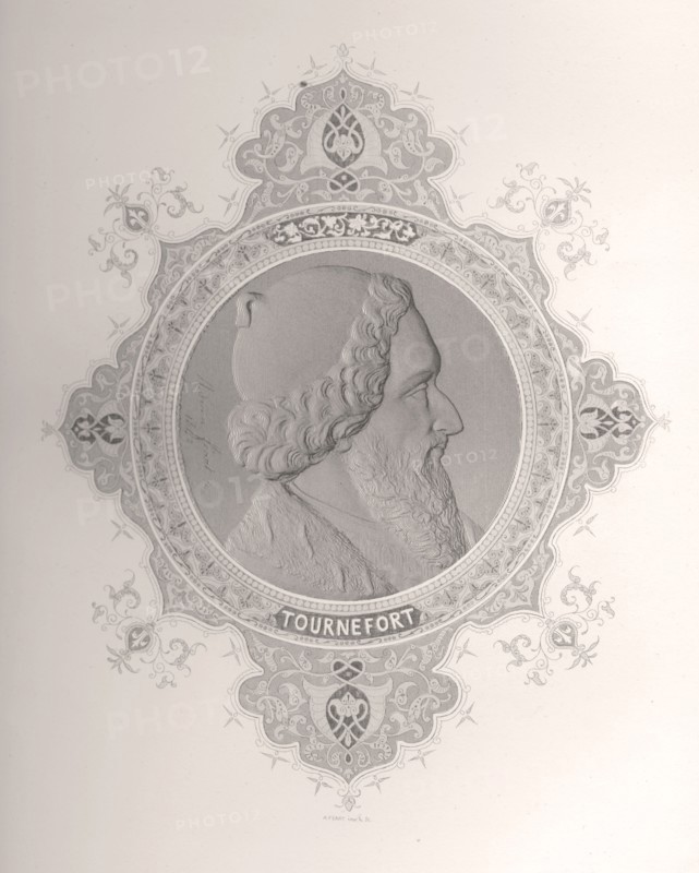 Joseph Pitton de Tournefort