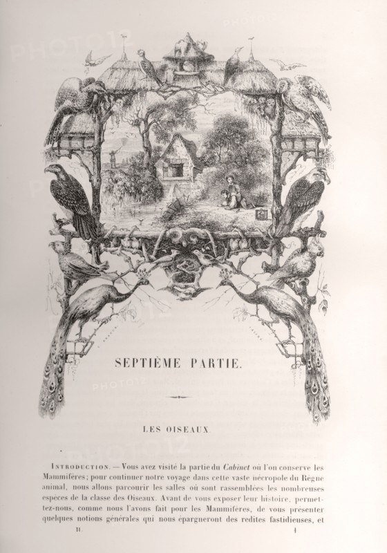 Enfants pêchant au bord d'une rivière