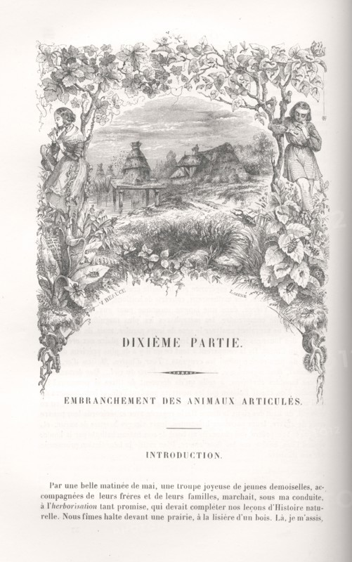 Paysage avec ruche