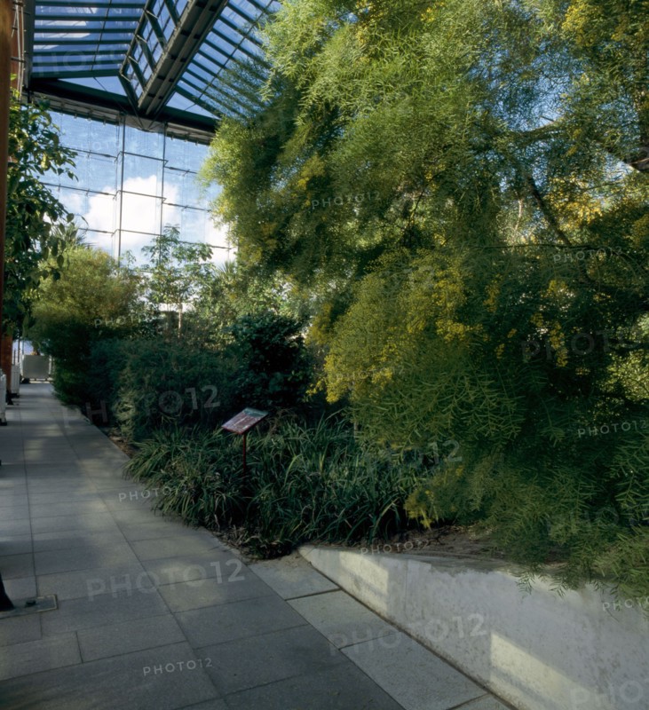 Grande serre du parc André Citroën à Paris