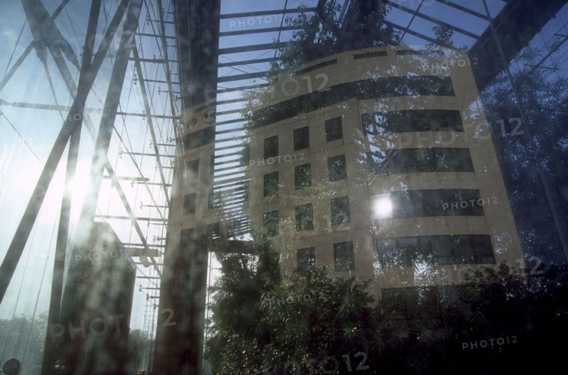 Grande serre du parc André Citroën à Paris