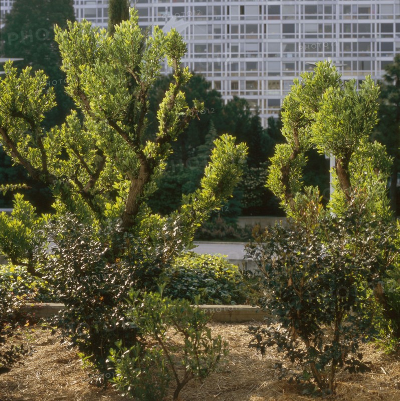 Jardin Atlantique à Paris