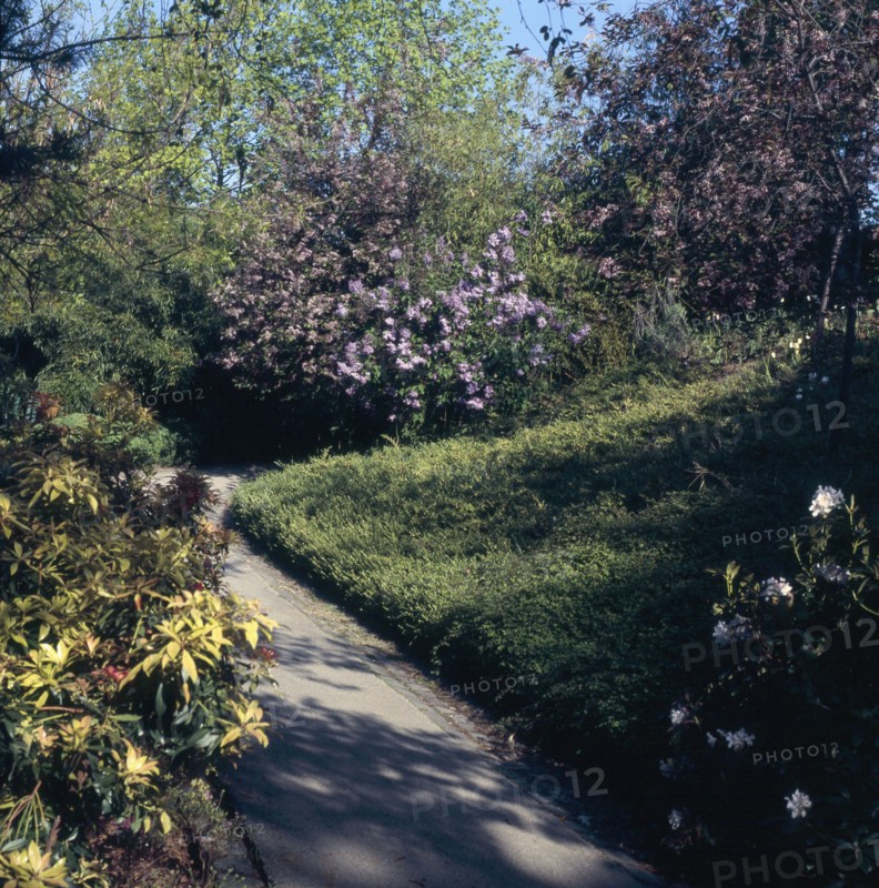 Parc de Belleville à Paris