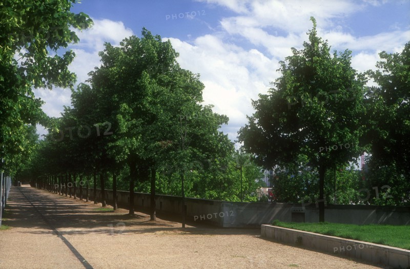 Parc de Bercy à Paris