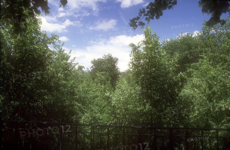 Parc de Bercy à Paris