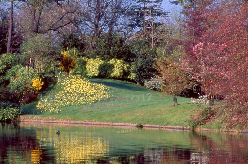 Bois de Boulogne