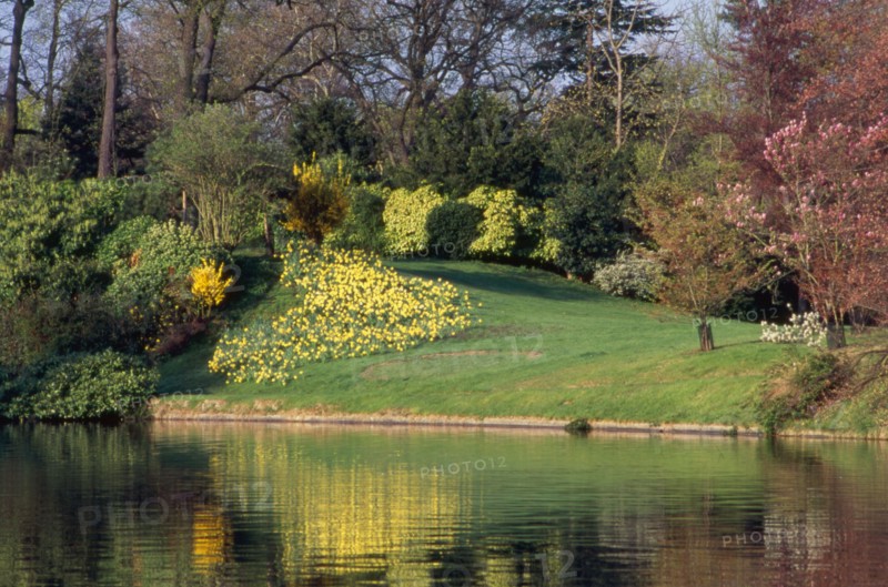 Bois de Boulogne