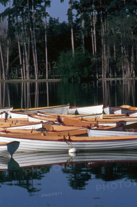 Bois de Boulogne