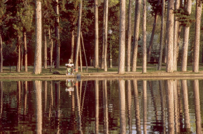 Bois de Boulogne