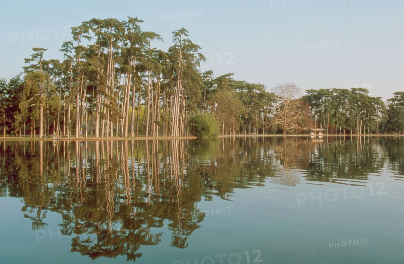 Bois de Boulogne