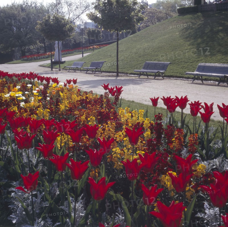Parc de la Butte du Chapeau Rouge à Paris