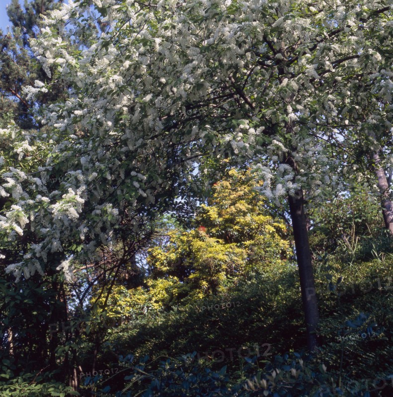 Parc de la Butte du Chapeau Rouge à Paris