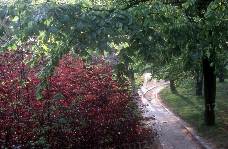 Parc Georges Brassens à Paris