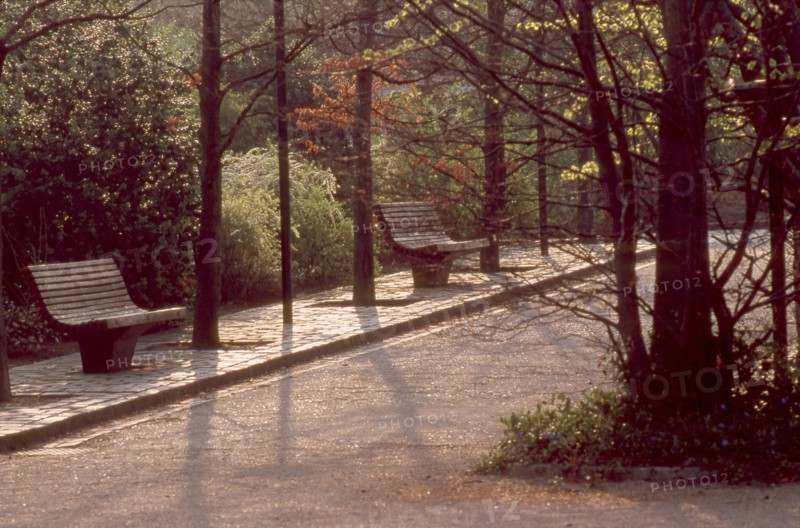 Parc Georges Brassens à Paris