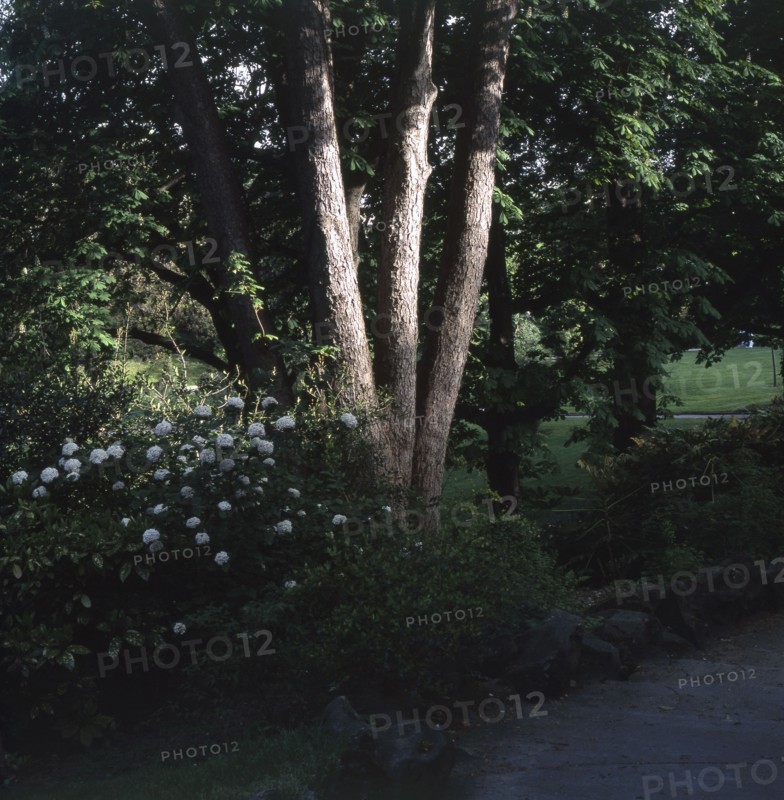 Kellermann garden in  Paris