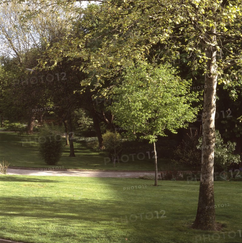 Kellermann garden in  Paris