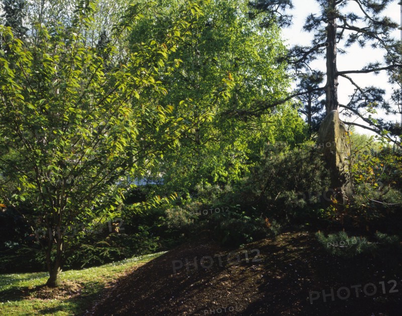 Jardin de l'Unesco à Paris